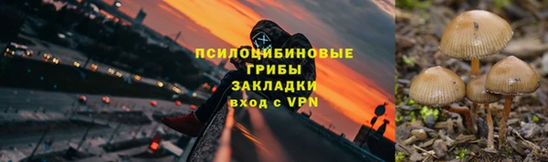 ешки Алексин